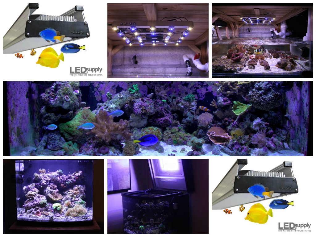 High Power LEDs in Reef Tank Lighting