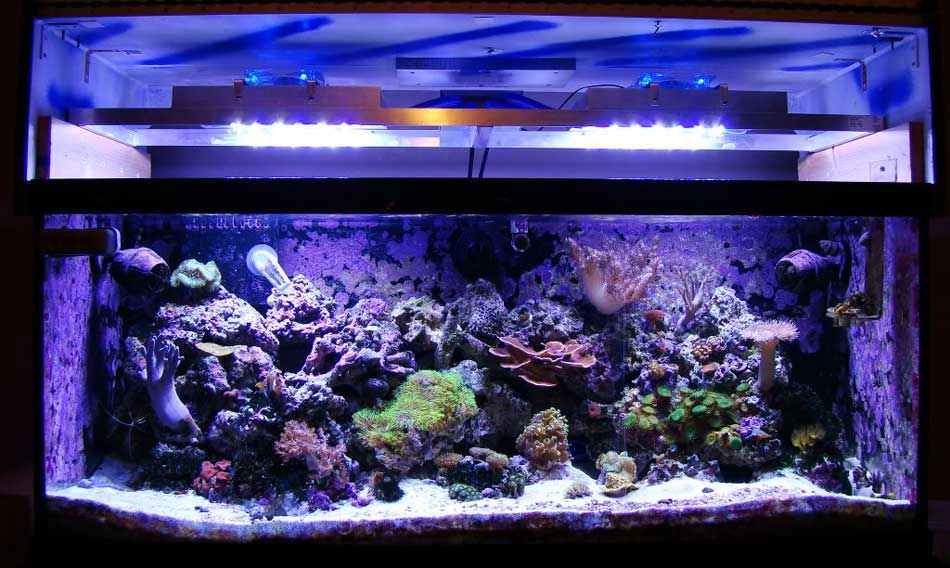DIY LED Reef Tank Light Image 10