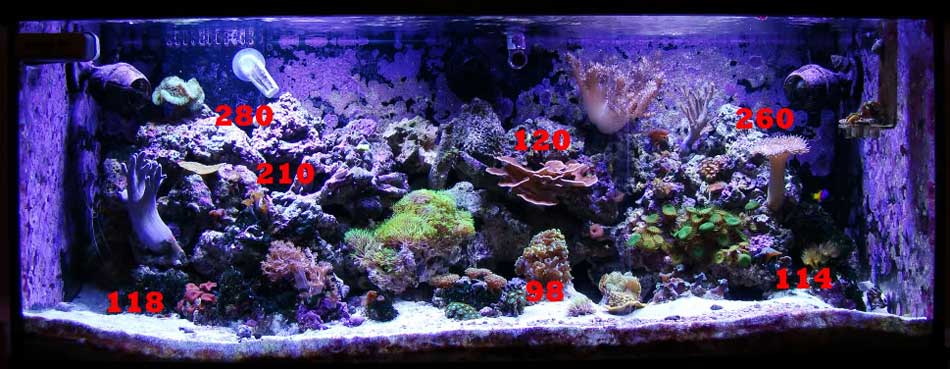 DIY LED Reef Tank Light Image 11