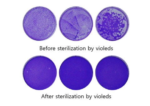 UV-C LEDs eliminating COVID-19 Virus