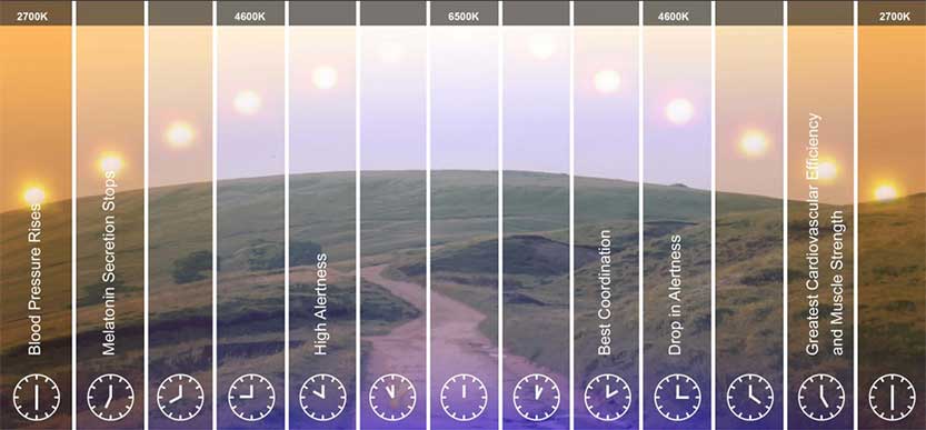 Ledrise - High Performance Led Lighting Guide to Choosing the Right Color  Temperature for LED Lighting