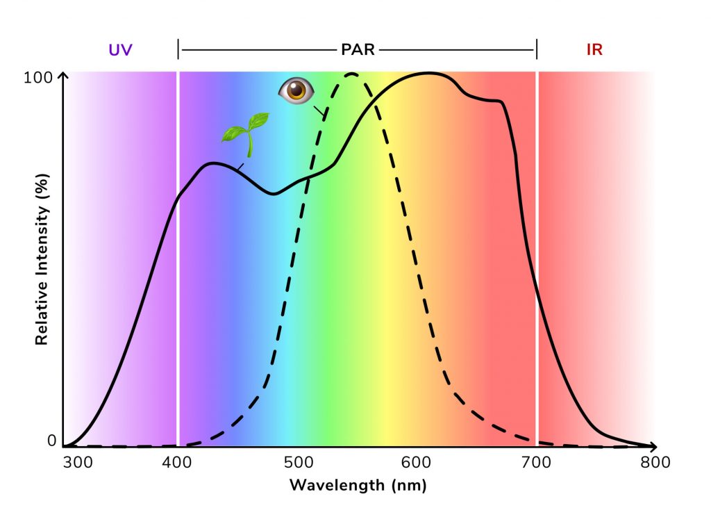 schweizisk forord lol Understanding the Most Important LED Grow Light Metrics