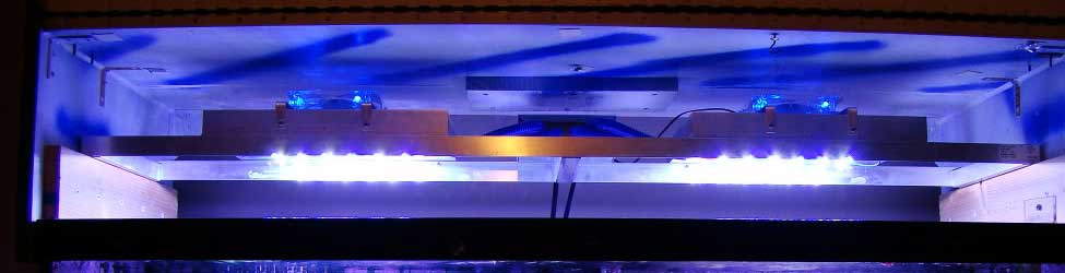 DIY Reef Tank Light