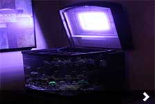 DIY AquaPOD Reef Tank Light