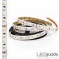 Tunable White Ultra-High Density LED Strip Light - 24V, 2200K-5000K, IP20