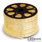 Dual-Row Waterproof Warm-White LED Strip Light — 120V Plug-In, 12W/m, IP66