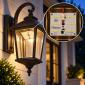 DRACO™ 12V LED Retrofit Kit for Outdoor Lamps - includes Module + Driver