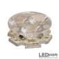 INDUS™ 3-Up Cree XHP35 White 20mm LED Star - Optics Ready™