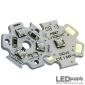 Cree XLamp XT-E Royal-Blue LED(s)