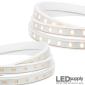 LED Strip: IP65 AC Plug-in - Single Color