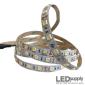 White Indoor High Density LED Strip Light — 12V, 329 lm/ft, IP20