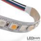 IP20 RGBW (12V) LED Flex Strips - Color Changing RGB + White