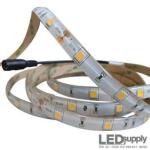 White Waterproof Standard Density LED Strip Light — 12V, 165 lm/ft, IP65