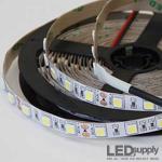 White Indoor High Density LED Strip Light — 12V, 329 lm/ft, IP20